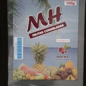 SACO PLÁSTICO PARA POLPA DE FRUTA E SUCO CONGELADO 13